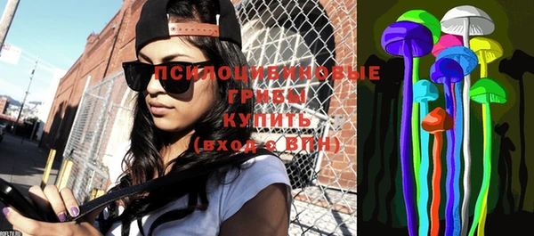 a pvp Белокуриха