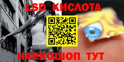 гашик Будённовск