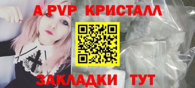 гашик Будённовск