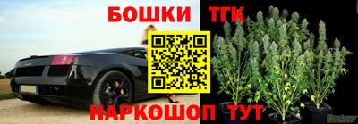 гашик Будённовск