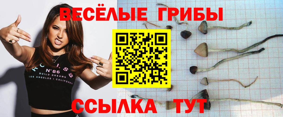 Псилоцибиновые грибы GOLDEN TEACHER Бугульма