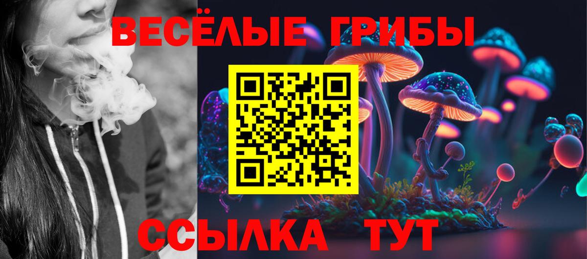 Бугульма  Псилоцибиновые грибы прущие грибы  Вход с VPN  Псилоцибиновые грибы Psilocybine cubensis 